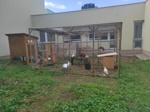 IMG_20260806_164222.jpg